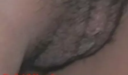سبزه بالغ روی صورت دوست جدیدی نشسته سریال های سکسی جدید بود و در عوض فاک وحشی دریافت کرد