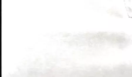 بهترین ماساژ درمانی در فيلم سكس گلشيفته فراهانى شهر یکی دیگر از مشتری های احمق را برای رابطه جنسی طلاق داد